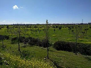 Parque Forestal Bosquesur