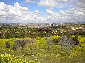 Parque forestal Valdebebas Felipe VI