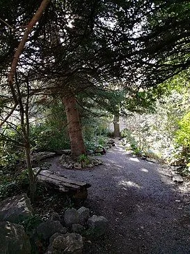 Jardin botanico de Lluc